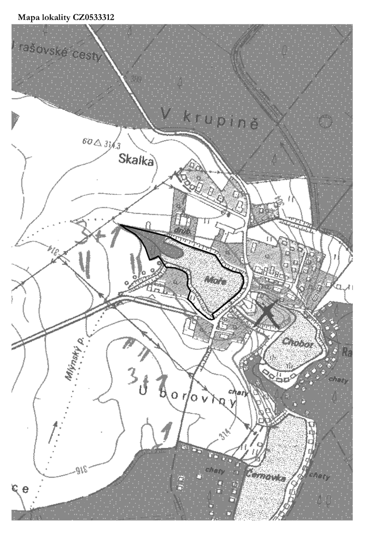 Obrázek