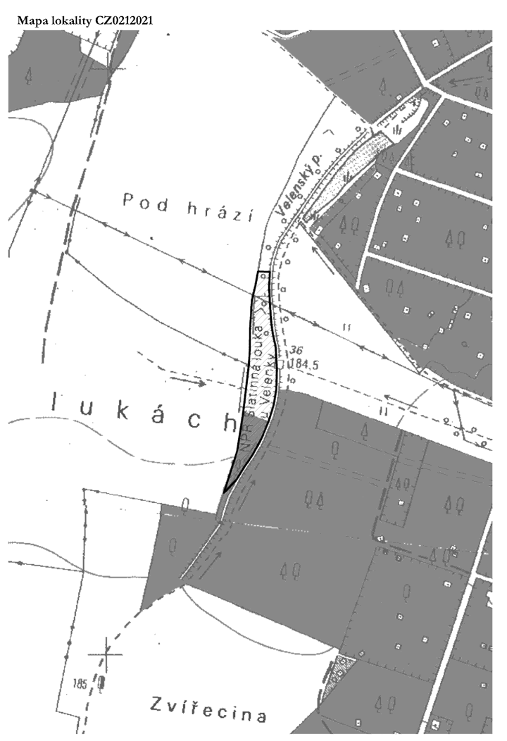 Obrázek