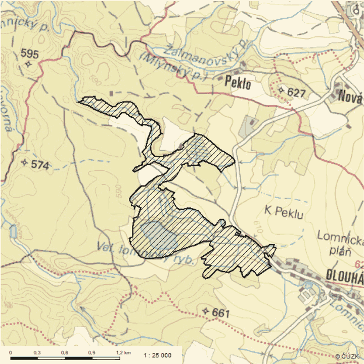 Obrázek